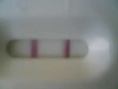 $07042012444.webp