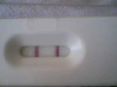 $07042012449.webp