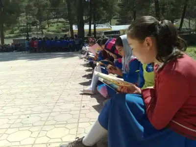 $26042012326.webp