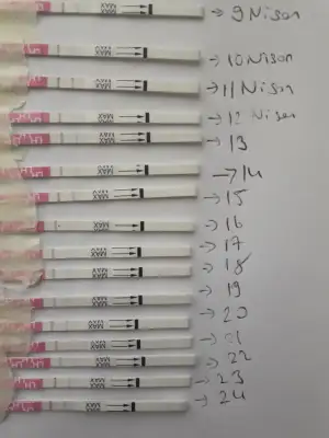 ovulasyon testi ile erkek bebege hamile kalanlar