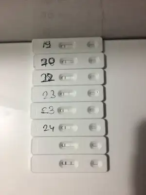 E0E0247C-2397-4E33-B86C-A2C311935FDD.webp