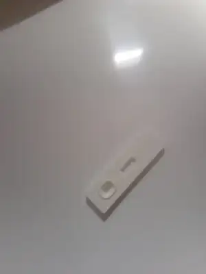 15879704135951287731149035560281.webp