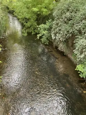 C0384064-7F5D-4985-9F01-54E119FDAF31.webp
