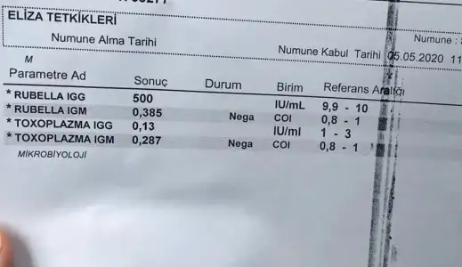 2020-05-08 19.25.36.webp