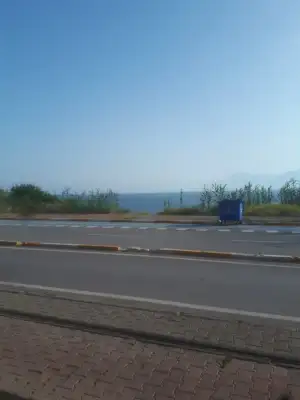 1589356591464.webp
