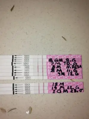 IMG_20200520_132113.webp