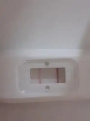 15901850775049119915758977413193.webp
