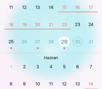 D456F43C-B194-4316-B5BB-D80742D4830A.webp