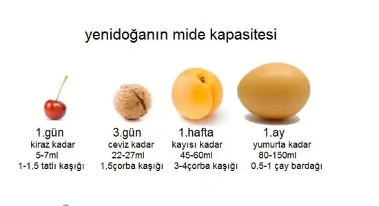 images (4).webp
