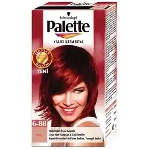 $palette_6_88.webp