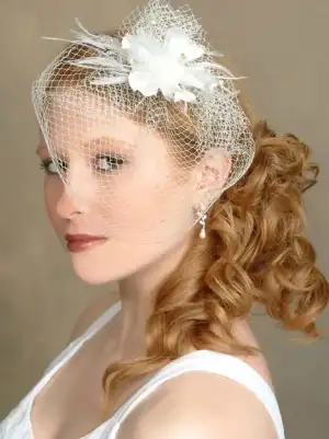 $bridal-veil-birdcage1.webp