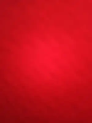 1591217062143..webp