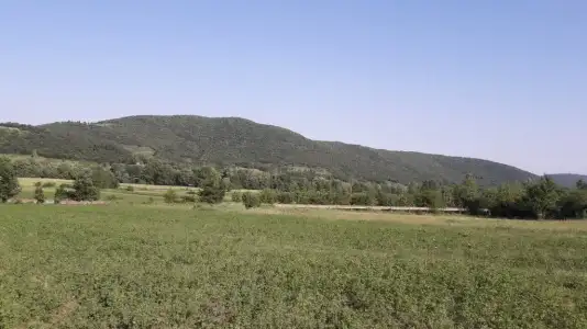 20200607_173349.webp