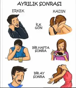 kadın erkek.webp