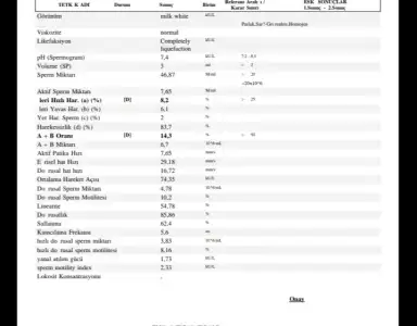 IMG_20200510_223552.webp