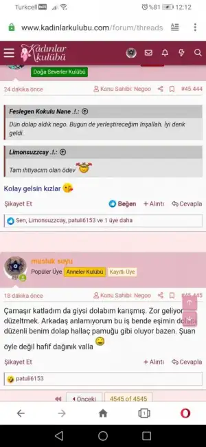 Screenshot_20200628_121243_com.opera.browser.webp