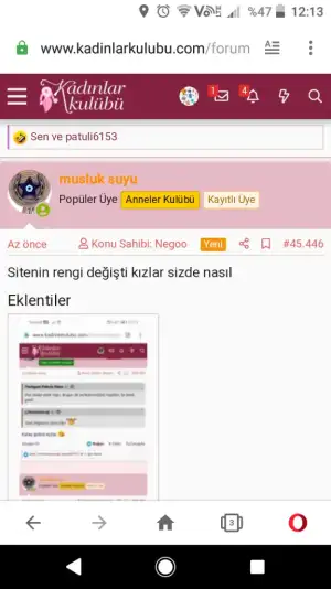 Screenshot_20200628-121333.webp