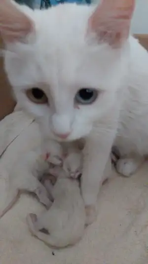 IMG-20191231-WA0002.webp