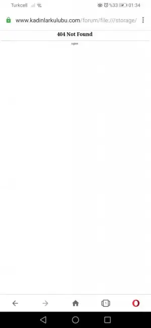 Screenshot_20200705_013405_com.opera.browser.webp