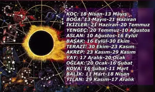 02D5B12A-92F8-441A-85D2-919579DF1703.webp