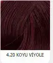 $4.20.webp
