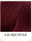 $5.20.webp