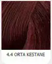 $4.4.webp