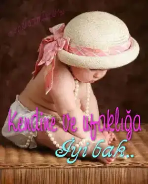 $53797927ih4.webp