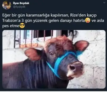 WhatsApp Image 2020-07-17 at 08.43.17.jpeg