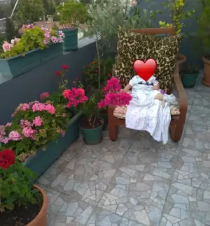 Screenshot_20200724-203634040_1.webp