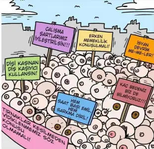 2020-08-05 10.53.31.webp