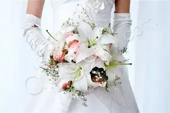 $prev_80672800 (1).webp