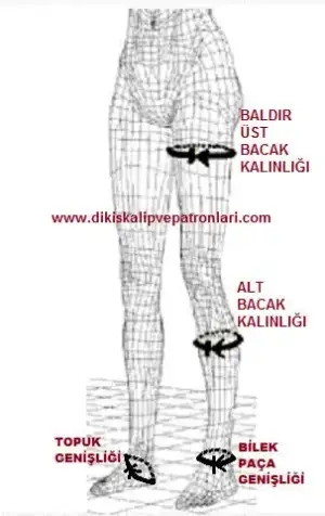images (6).webp