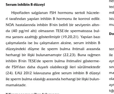 17EE881F-E5AF-46AF-B7D9-BEDDF14F2614.webp