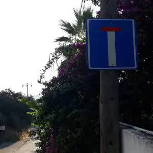 118224806_201909394612536_6545357337915646966_n.webp