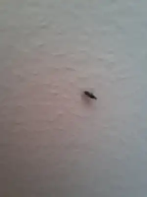 20200827_130403.webp
