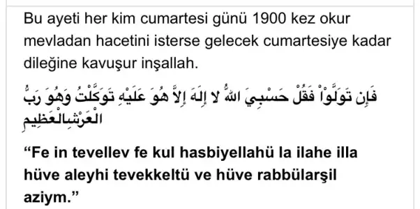 786253F3-ECF1-4F88-BA24-85BBAAD8B62D.webp