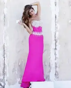 $show_image_in_imgtag (5).webp
