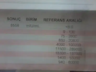 $Foto&#287;raf1225.webp