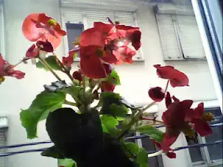 $10 May 2012 08_38_30.webp