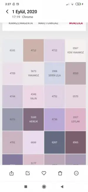 Screenshot_2020-09-04-02-27-57-389_com.miui.gallery.webp