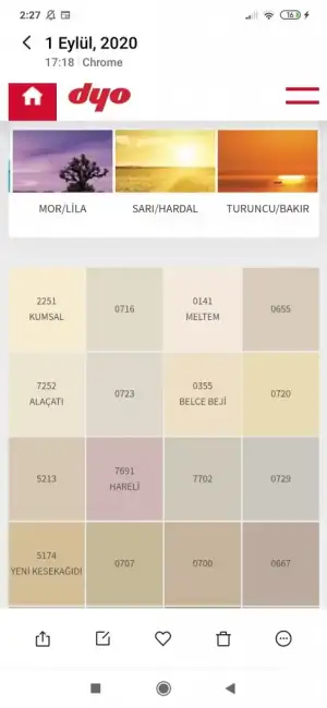 Screenshot_2020-09-04-02-27-53-590_com.miui.gallery.webp