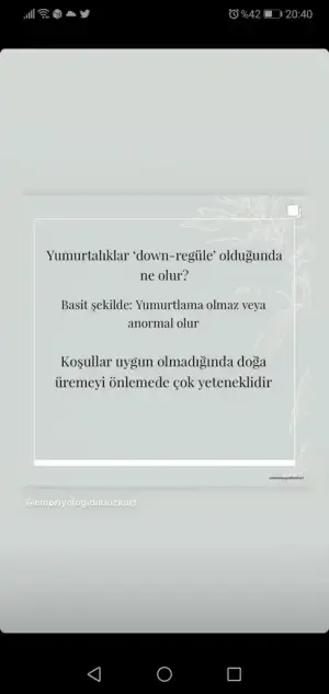Screenshot_20200907_204003_com.instagram.android.webp
