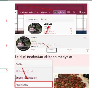 123.webp