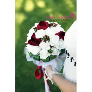 $IMG_0177-500x500.webp