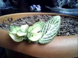 $May 11, 2012 12_39_45 PM.webp