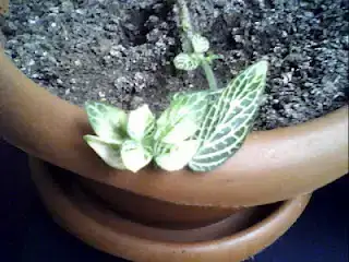 $May 11, 2012 12_40_09 PM.webp