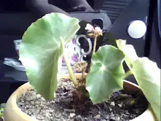 $May 11, 2012 12_39_11 PM.webp