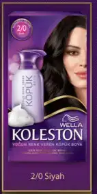 $koleston-kopuk-boya-katalogu-001.webp