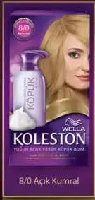 $koleston-kopuk-boya-katalogu-014.webp